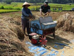 Sinergitas Yang Positip Babinsa Wonosegoro Dampingi Petani