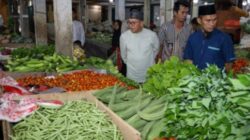 Lembayung Sepikul Pakusari, Kini Punya Pasar Sendiri Bekerjasama Dengan Ekonomi Rakyat Bumdes