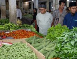 Lembayung Sepikul Pakusari, Kini Punya Pasar Sendiri Bekerjasama Dengan Ekonomi Rakyat Bumdes
