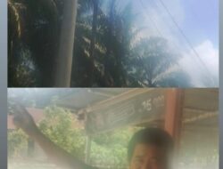 Warga Desa Muara Jaya RT 3 RW 1 Dusun 1 Resah akibat Kurangnya Arus Listrik di Perumahan