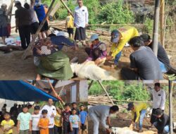 Idul Adha 1447 H Di Desa Klampok Penuh Kebersamaan, Kades Jefri Arnas Hadir Dampingi Warga