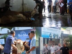 Idul Adha 1447 H, Polresta Malang Kota Siapkan Hewan Kurban, 12 Sapi dan 24 Kambing untuk Warga