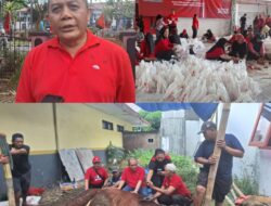 Momentum Idul Adha 1447H PDIP Jatim Perkuat Kepedulian Lewat 468 Sapi Kurban